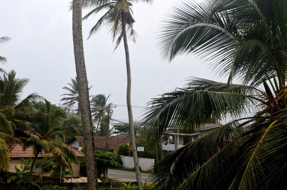 Shyni Tourist Guesthouse 15/17
