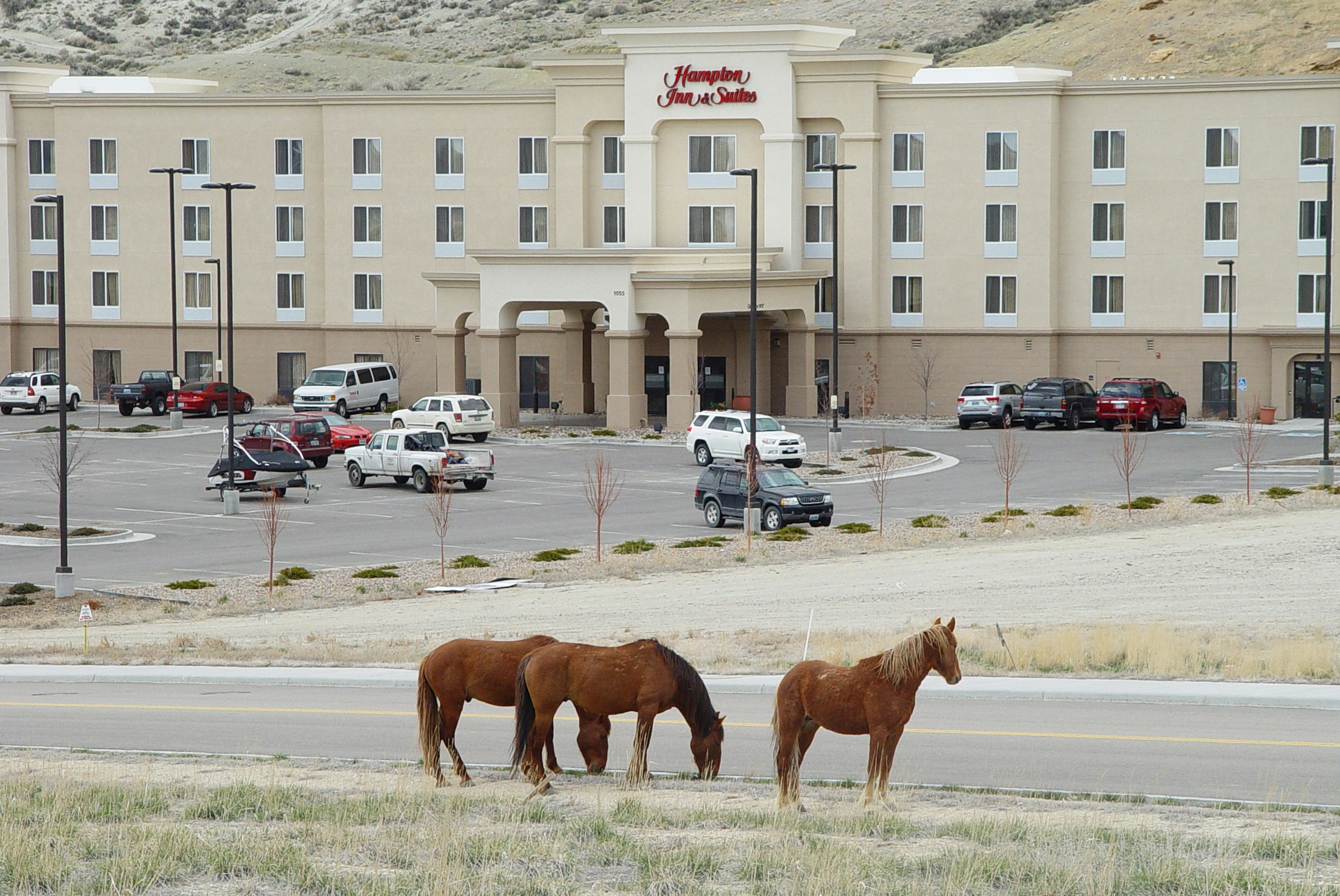 Hampton Inn & Suites Green River 32/34