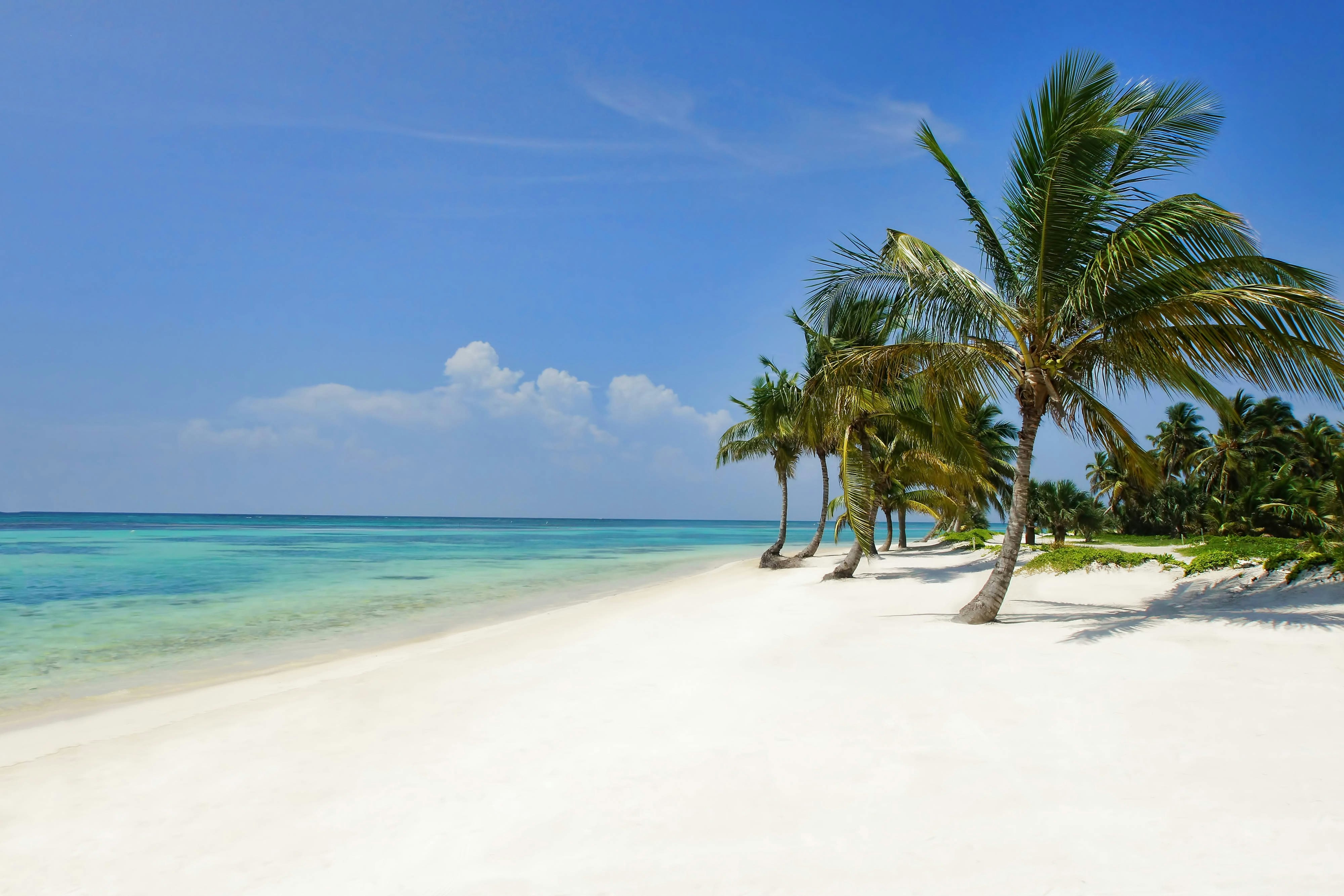 The Westin Puntacana Resort And Club 53/76