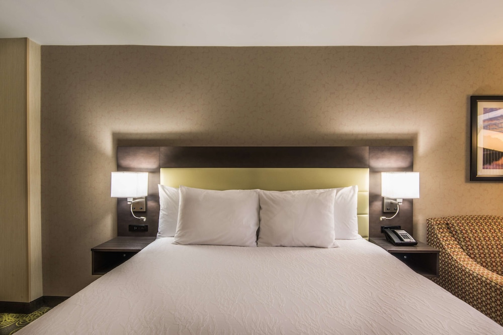 Hilton Garden Inn Reagan National Airport 15/72