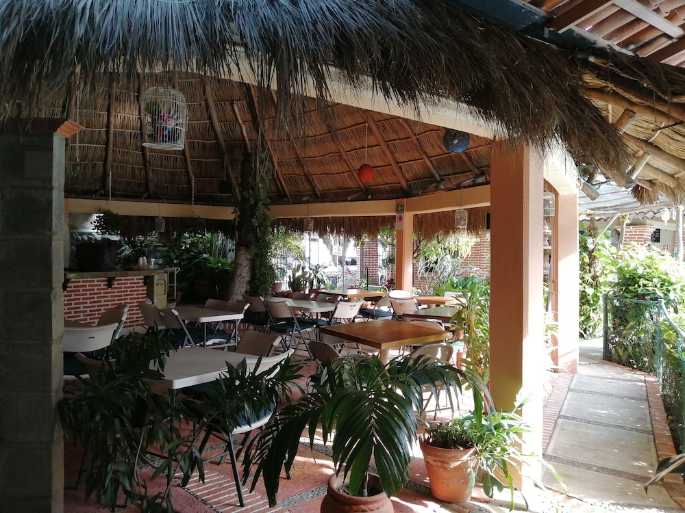 Vallarta Sol 34/50