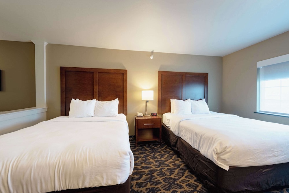 Comfort Inn Suites 22/75