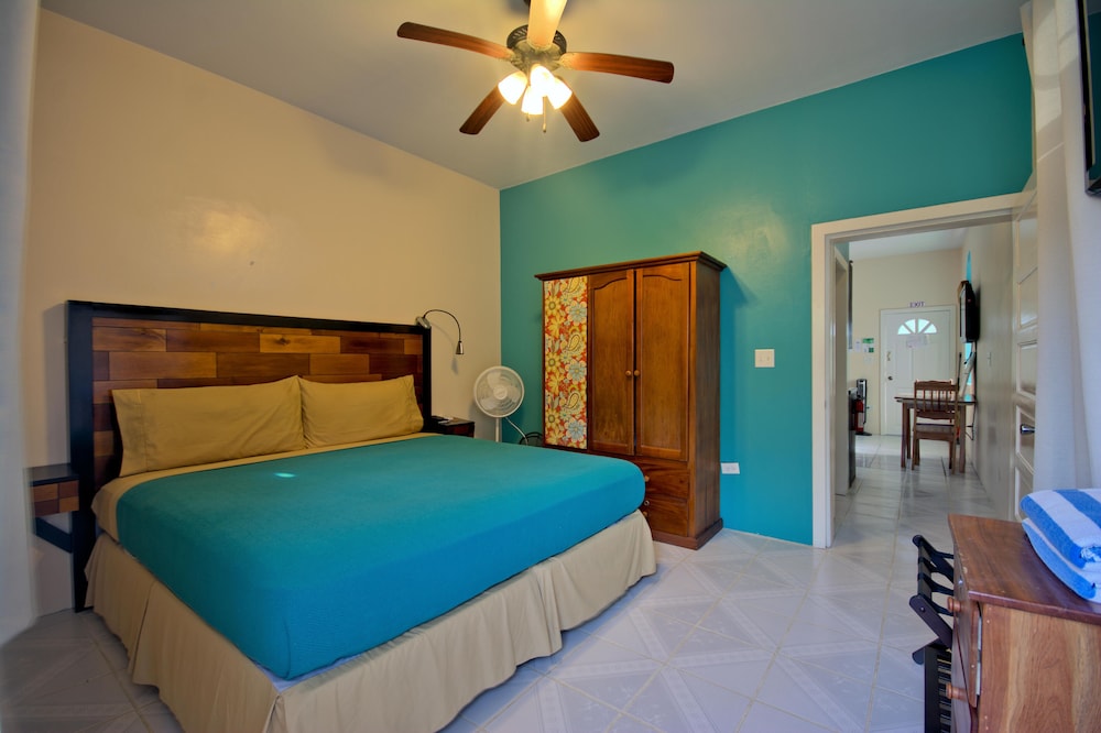 DELUXE, APARTMENT, KING BED, KITCHEN