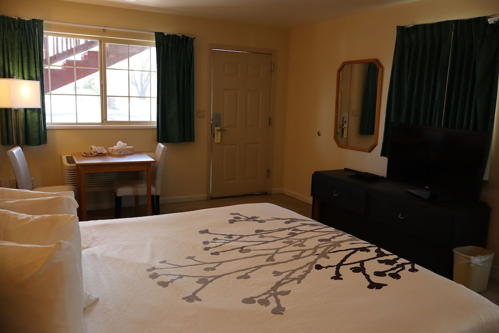 Econo Lodge Inn & Suites Montrose - Black Canyon Area 23/47