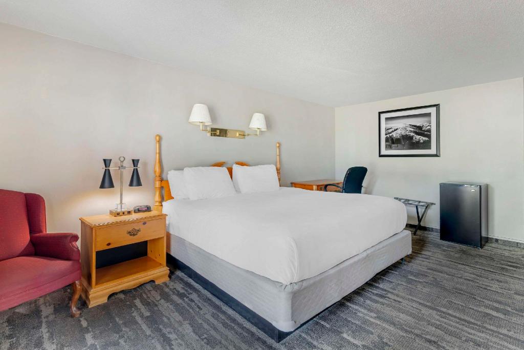 Room, King Bed