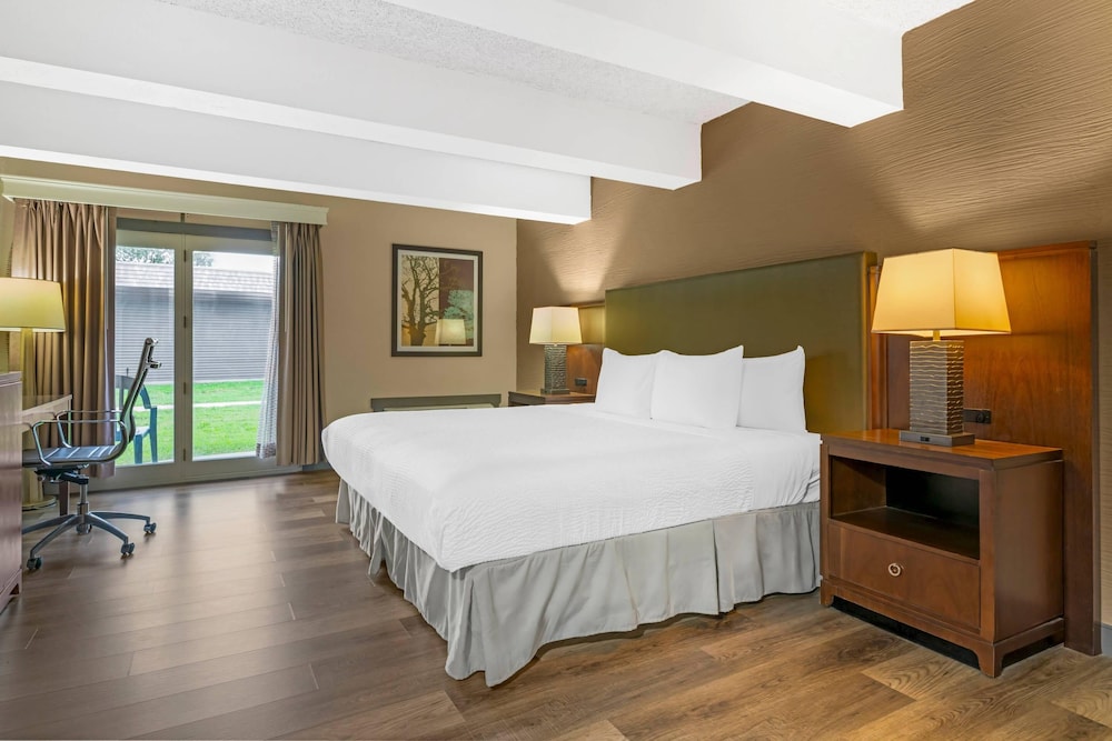 Efficiency, King Bed