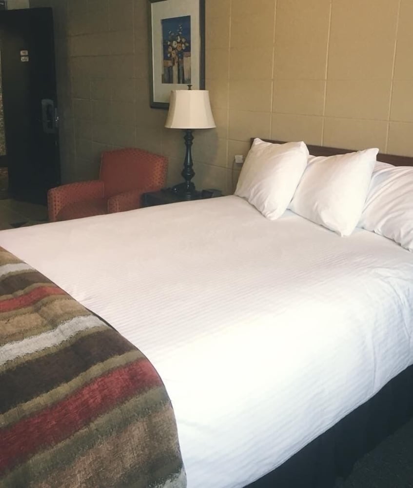 Vegreville Garden Inn 19/48