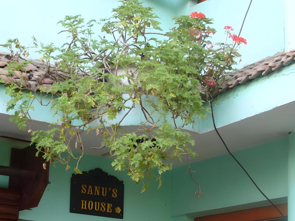 Sanu House Hostel & Homestay 6/49
