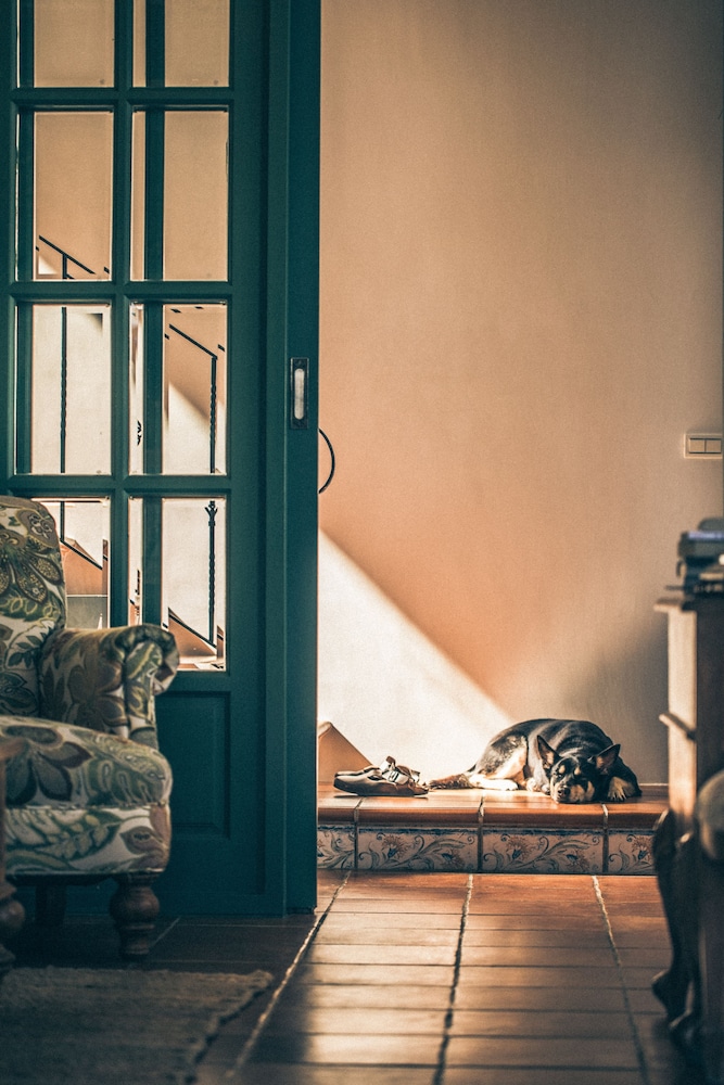 Sunday Home 36/68