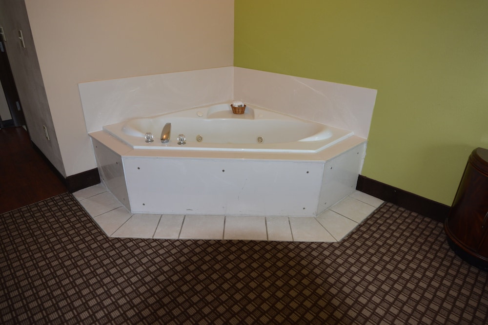 Jameson Inn & Suites Hazlehurst 28/37