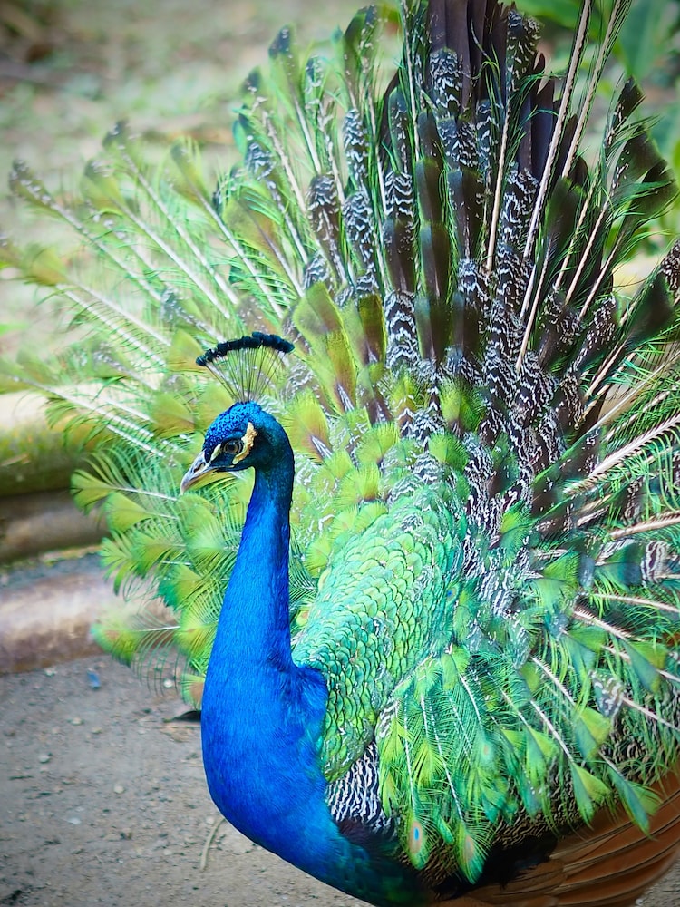 Reserva Natural Tierra Adentro 48/73