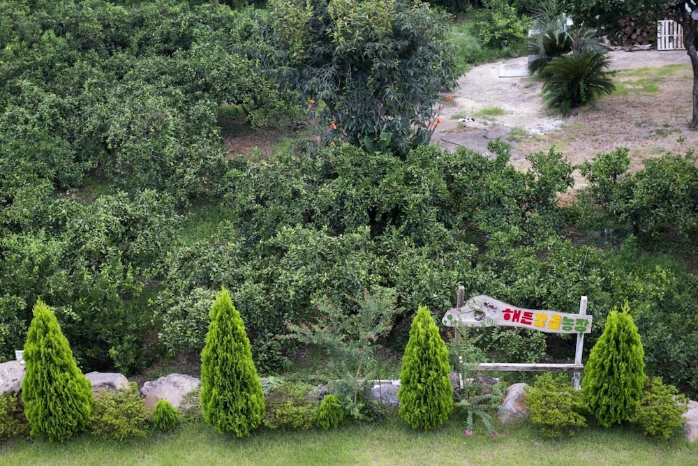 Haeden Ville 57/62