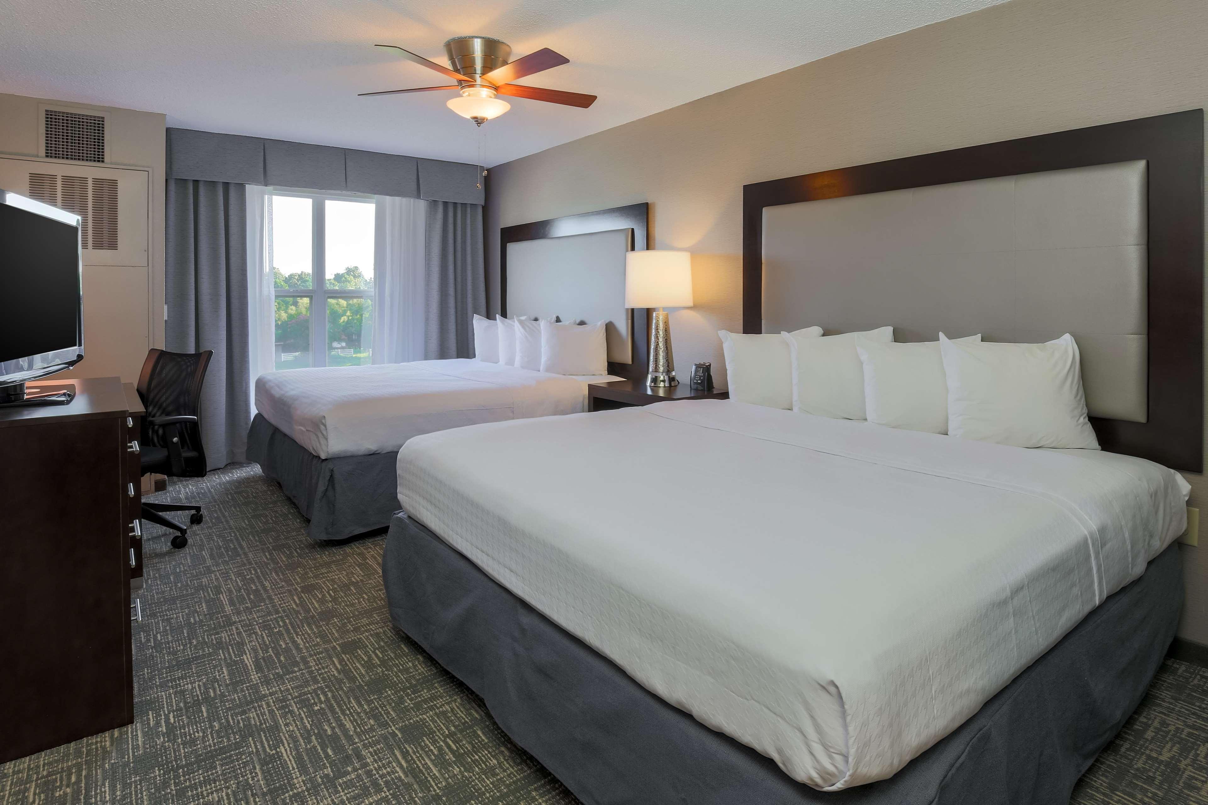 1 BEDROOM, SUITE, 2 KING BEDS