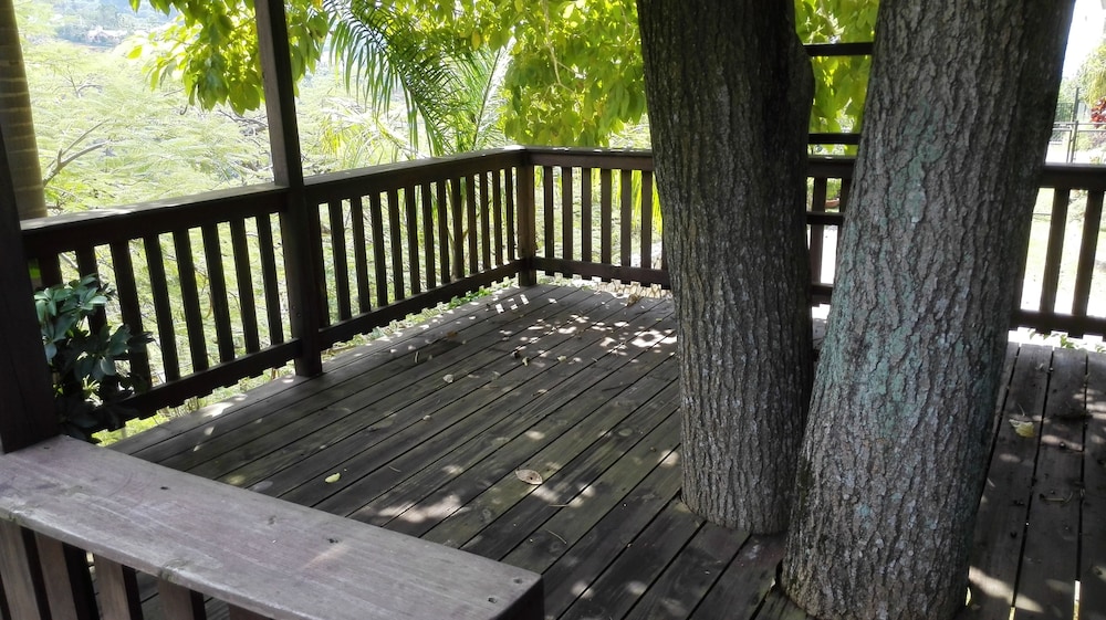 Neitas Nest Jamaican Bed And Breakfast 11/22