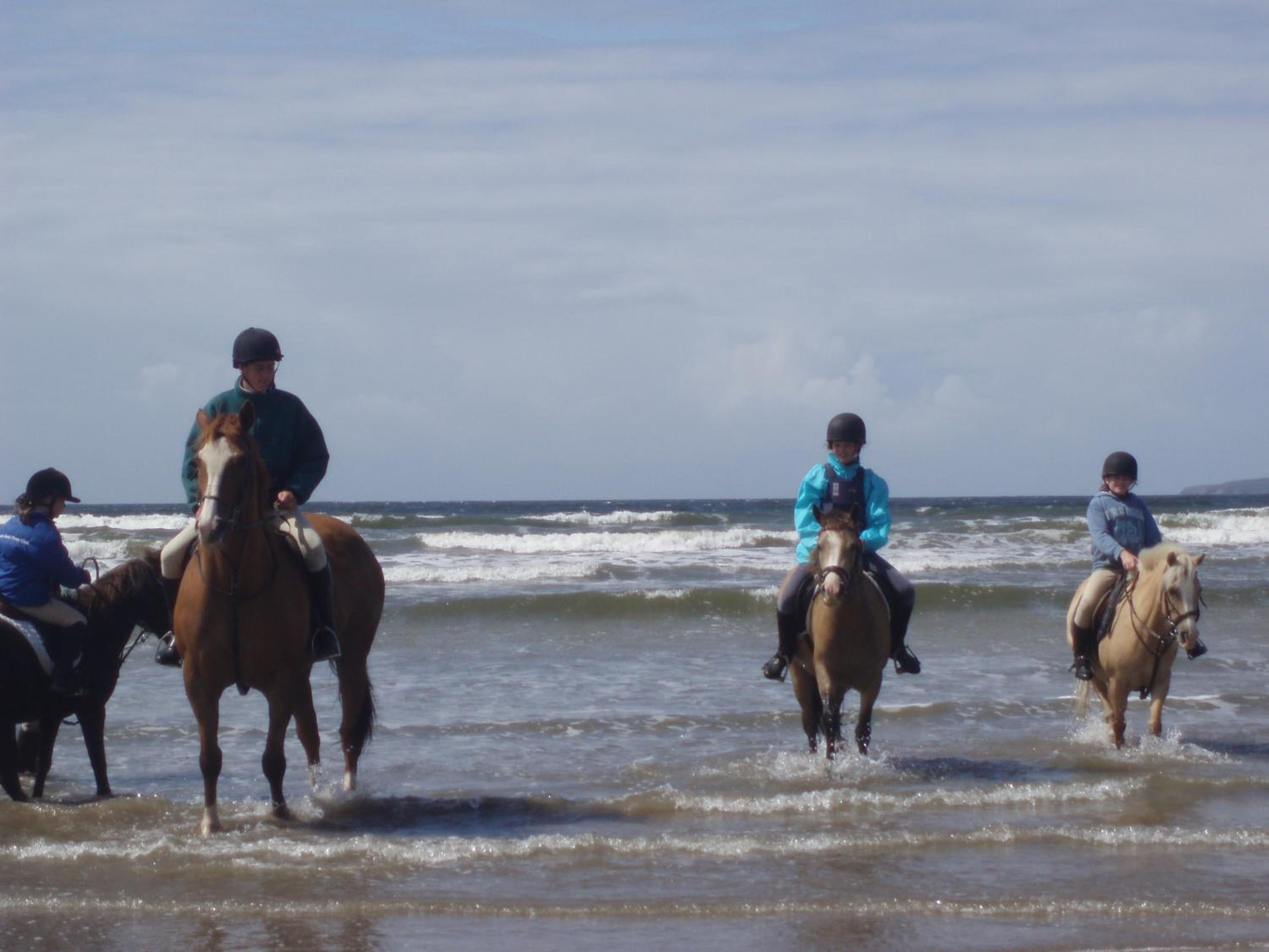 White Sands Hotel Ballyheigue 46/51