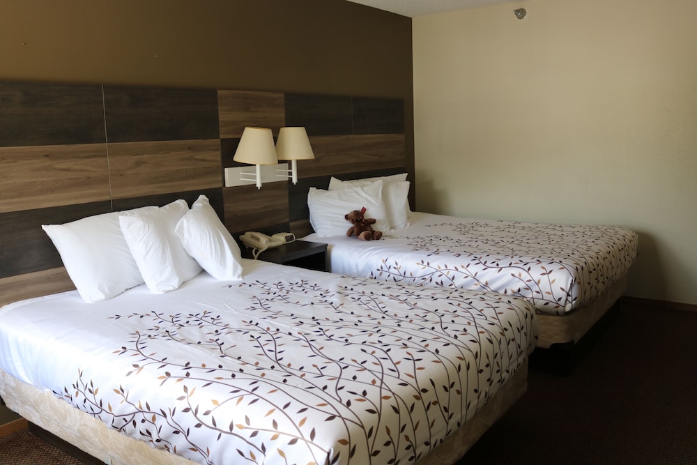 غرفة قياسية بسريرين كوين بشرفة، Roosevelt Inn Mount Rushmore 2/8