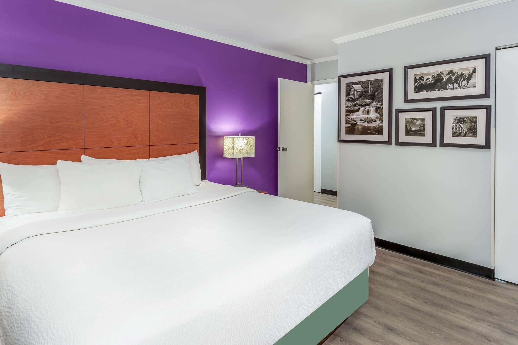 Suite, King Bed