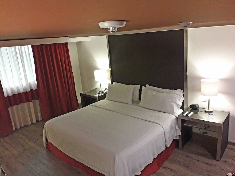 Holiday Inn Mexico Zona Centro by IHG 14/50