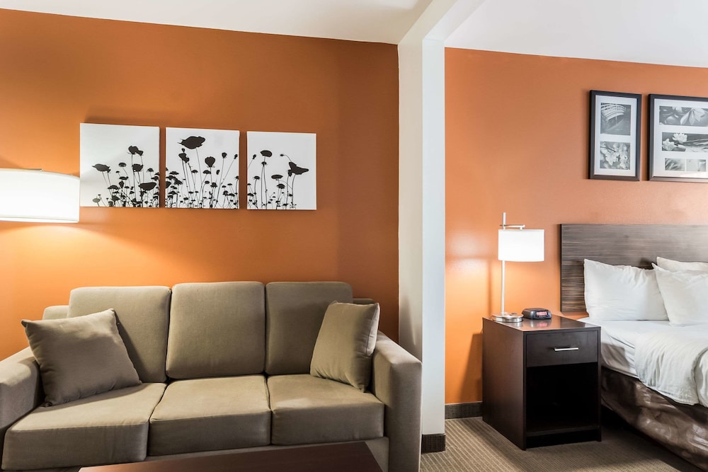 Sleep Inn & Suites North Liberty - Liberty City 26/43