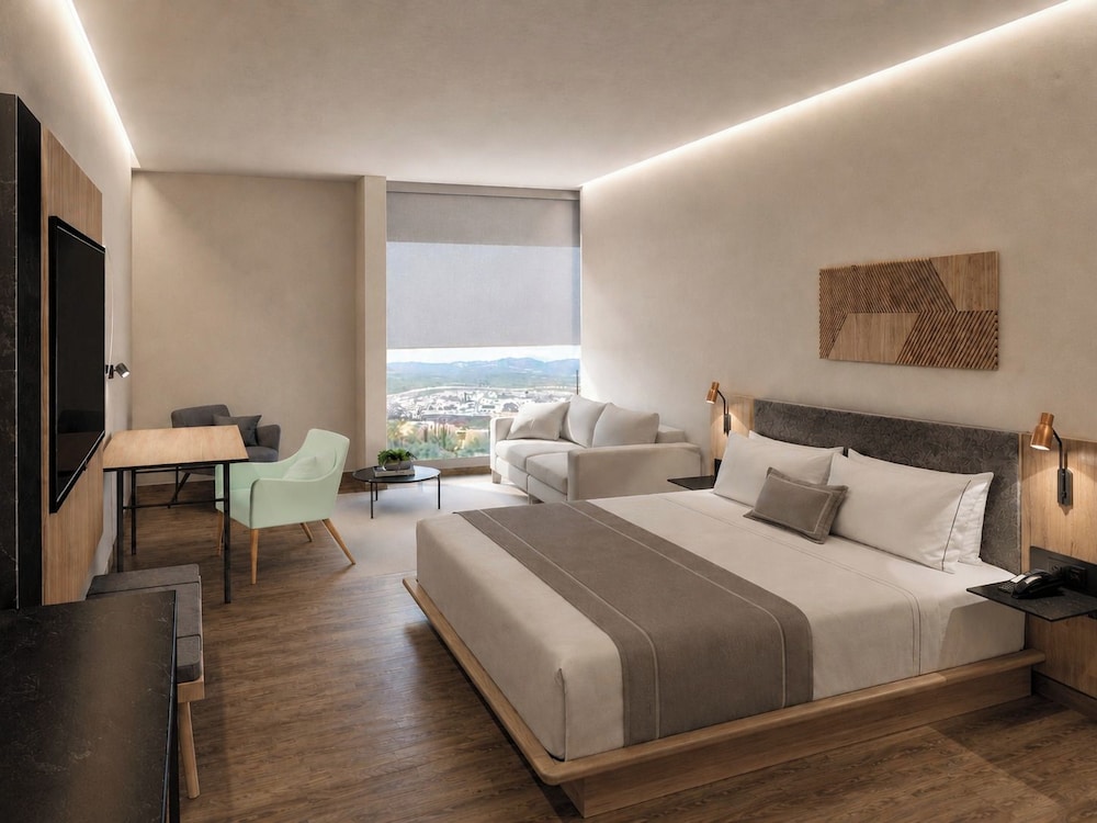 City Express Plus by Marriott San Luis Potosi 14/48