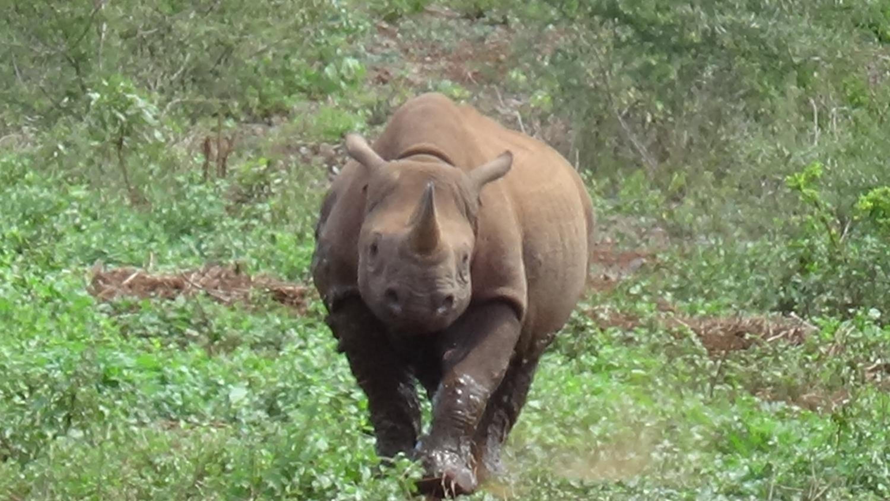 White Elephant Safari Lodge 13/21