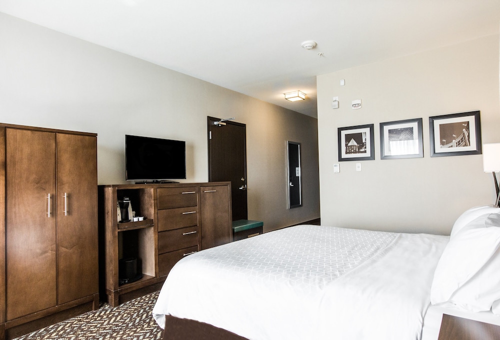 Holiday Inn Express & Suites Spruce Grove - Stony Plain 12/68