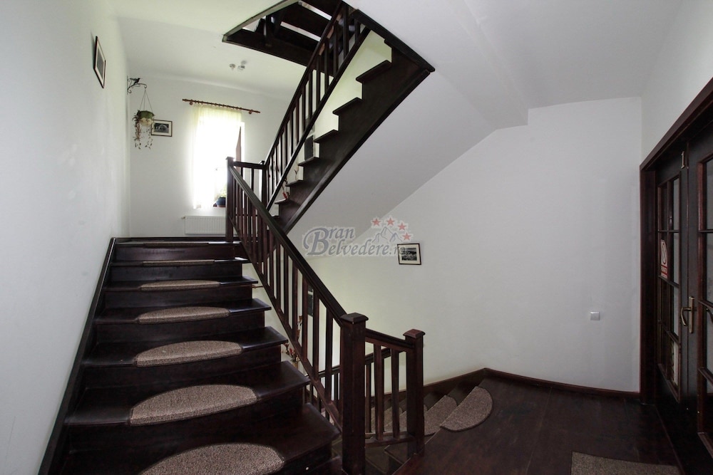 Bran Belvedere International 25/53