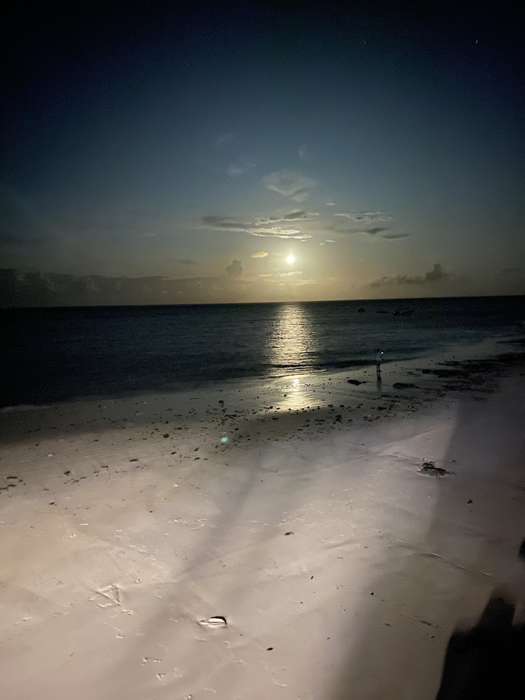 Arthotel Zanzibar 43/50