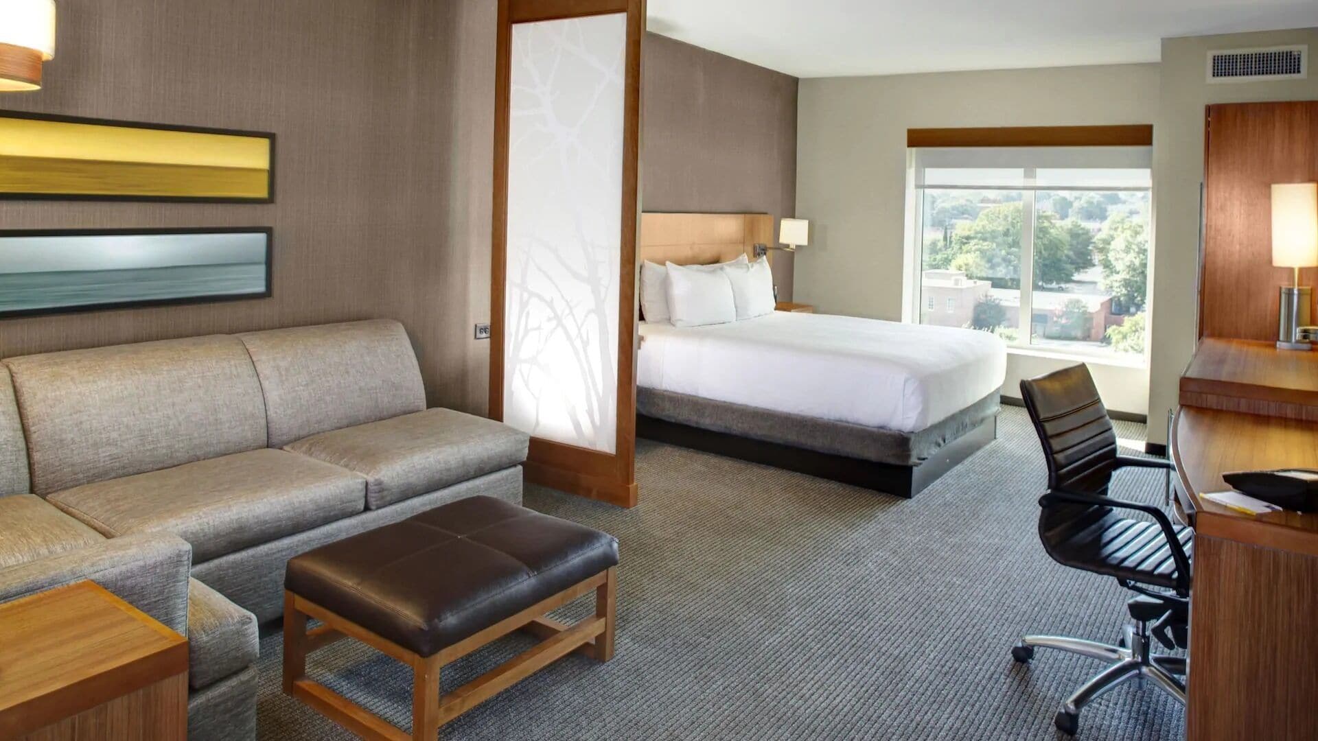 Room, King Bed, Sofa, Accessible