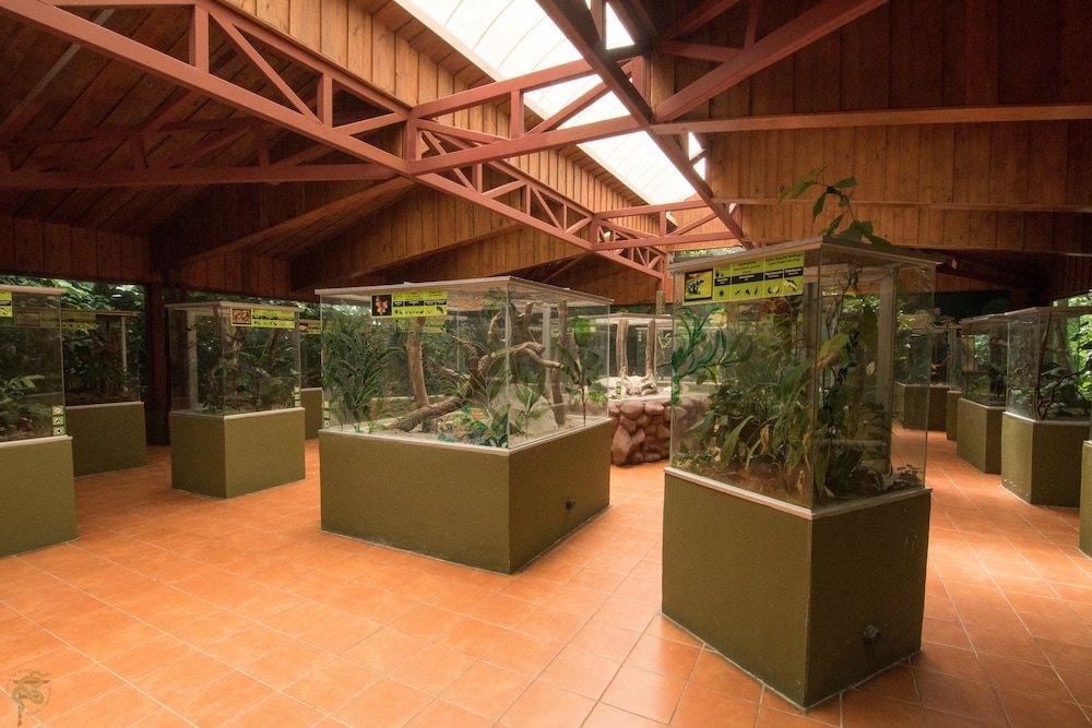 Hotel Ficus Monteverde 17/74