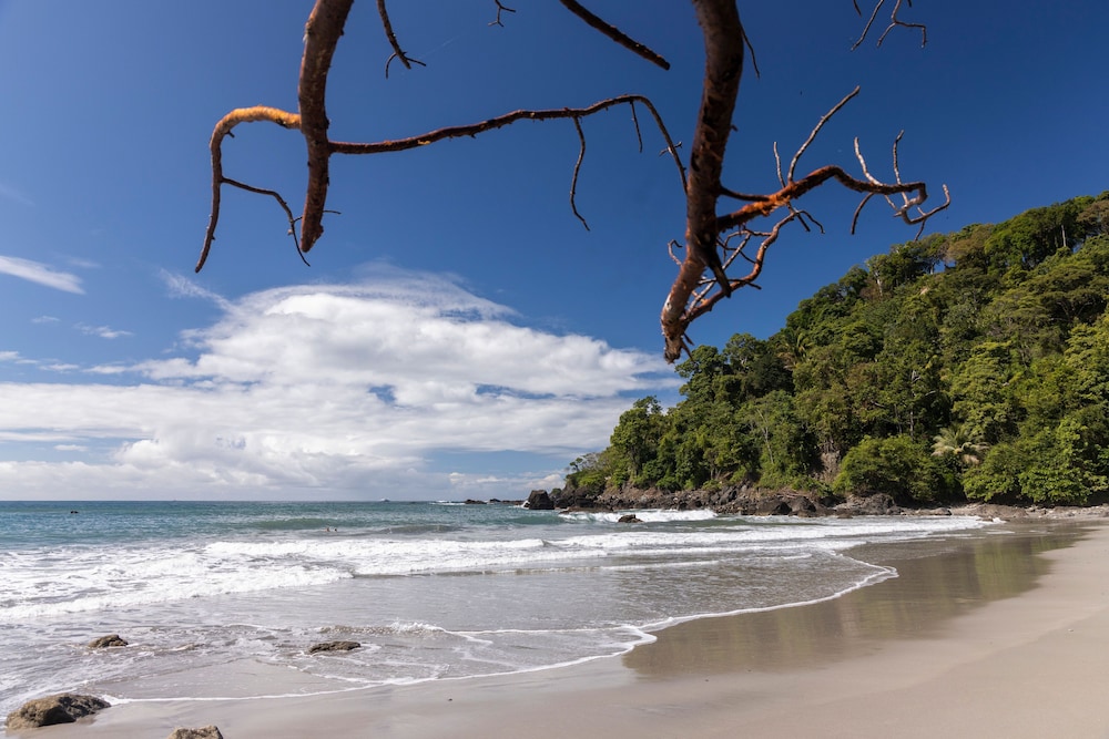 Arenas del Mar Beachfront & Rainforest Resort 69/75