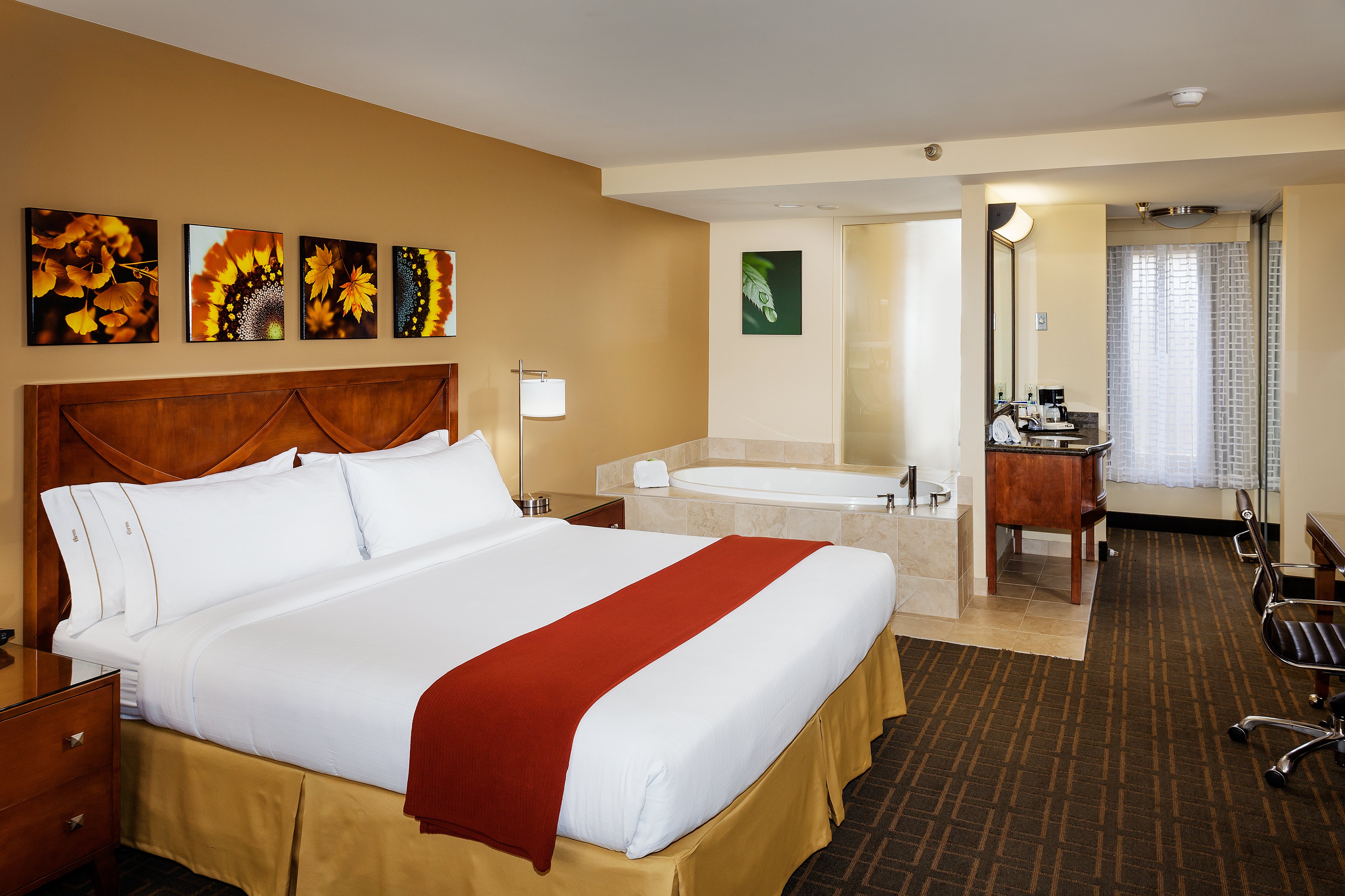 Holiday Inn Express Simi Valley 17/60