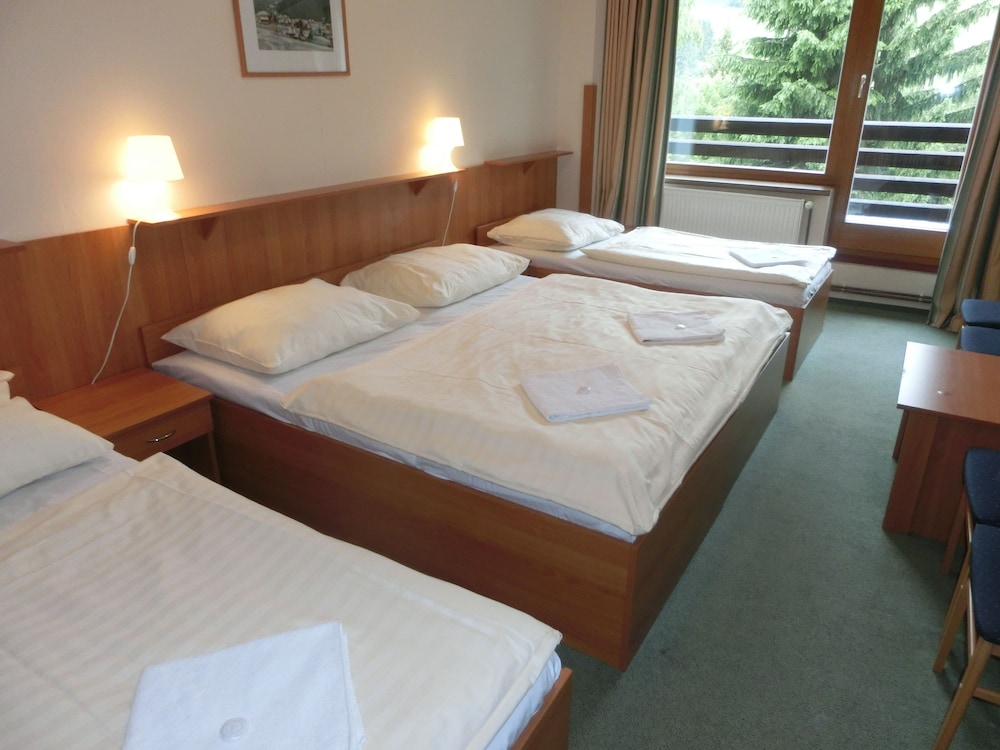 Hotel Parkhotel Harrachov 20/43