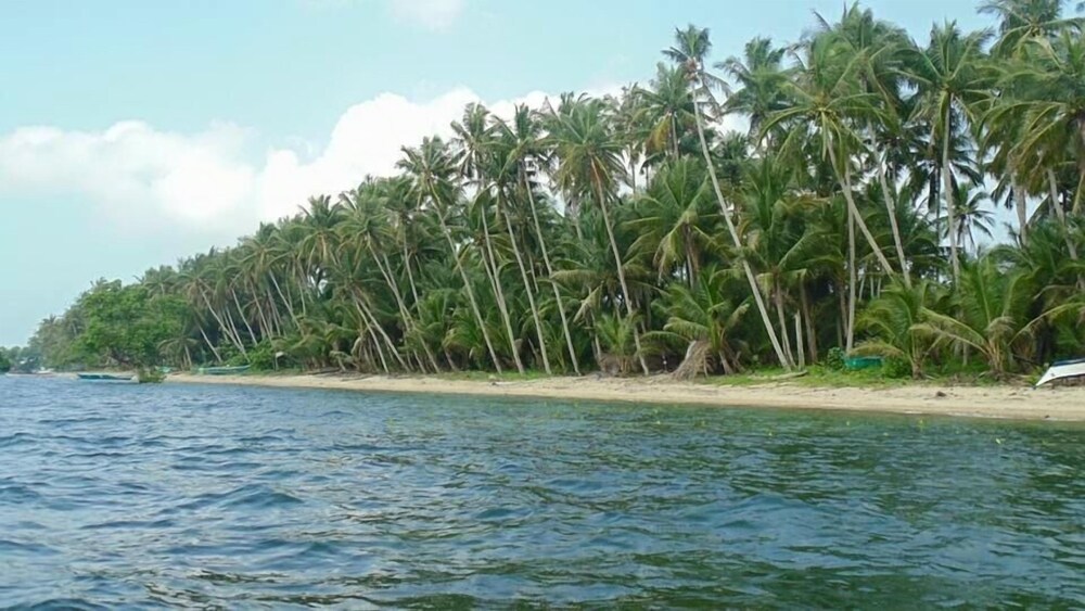 Ucoy Beach Resort 13/38