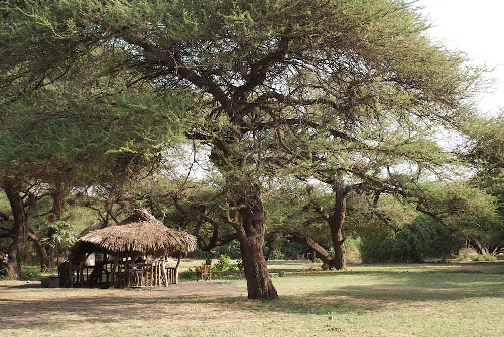 LAKE NATRON TENTED CAMP 6/17
