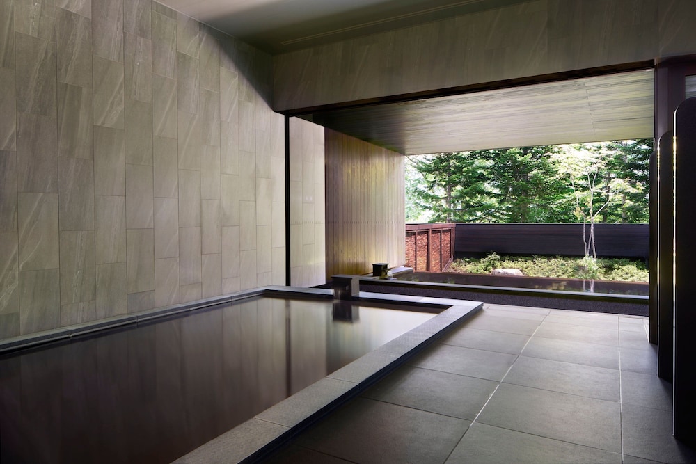 Higashiyama Niseko Village, a Ritz-Carlton Reserve 21/42