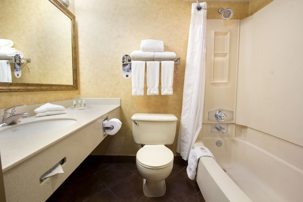 Holiday Inn Calgary- Airport 15/65