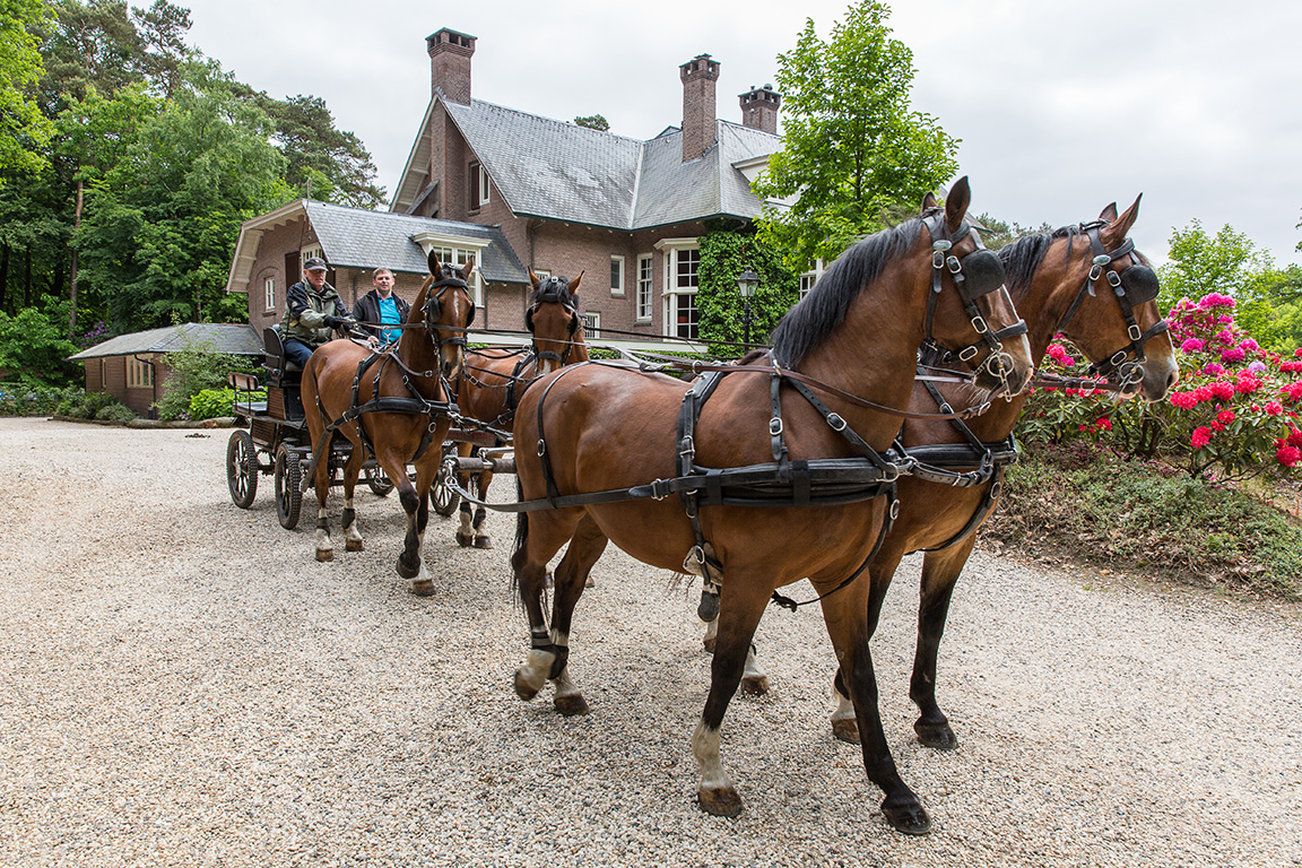 Relais And Chateaux Hotel Landgoed Het Roode Koper 21/27