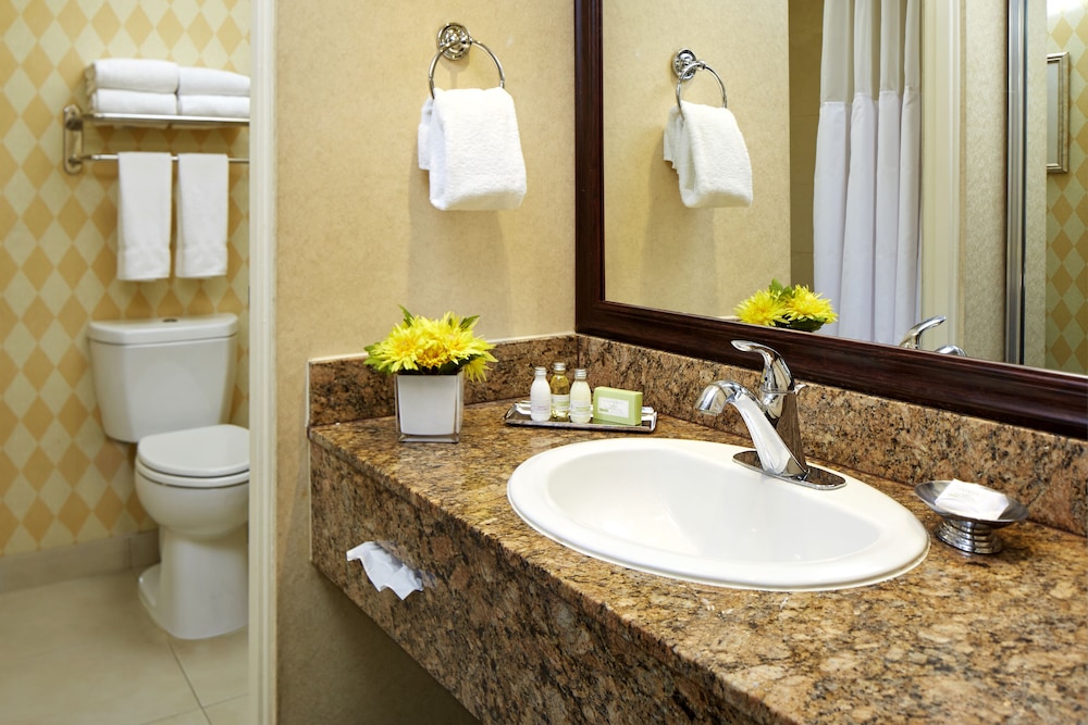 Anaheim Portofino Inn and Suites 13/30