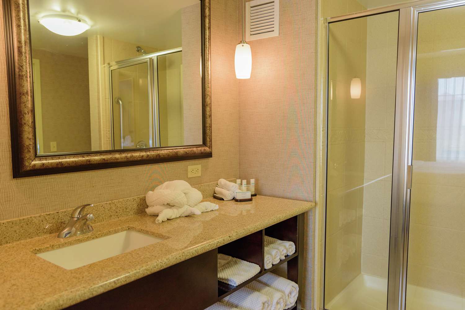 جناح بسرير كينج بغرفتين، Embassy Suites by Hilton Minneapolis North 2/2