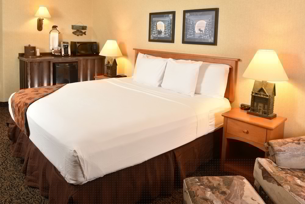 Stoney Creek Hotel Quad Cities 6/39