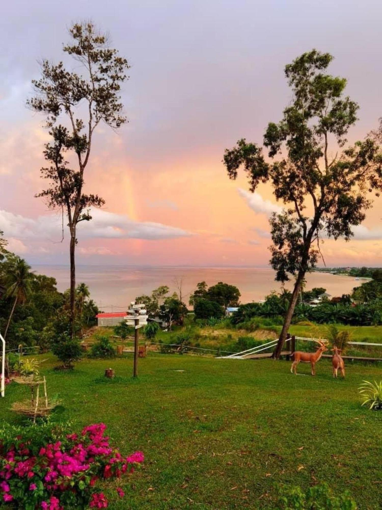 D View Holiday Home 32/46