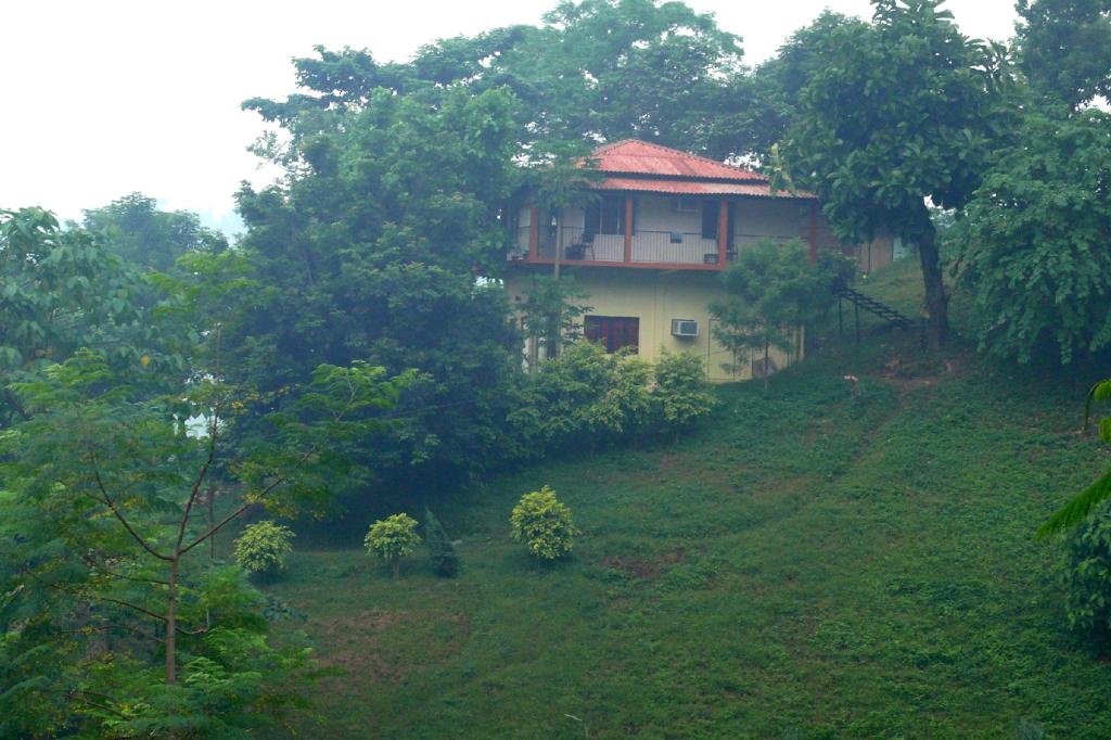 Brahmaputra Jungle Resort 37/42