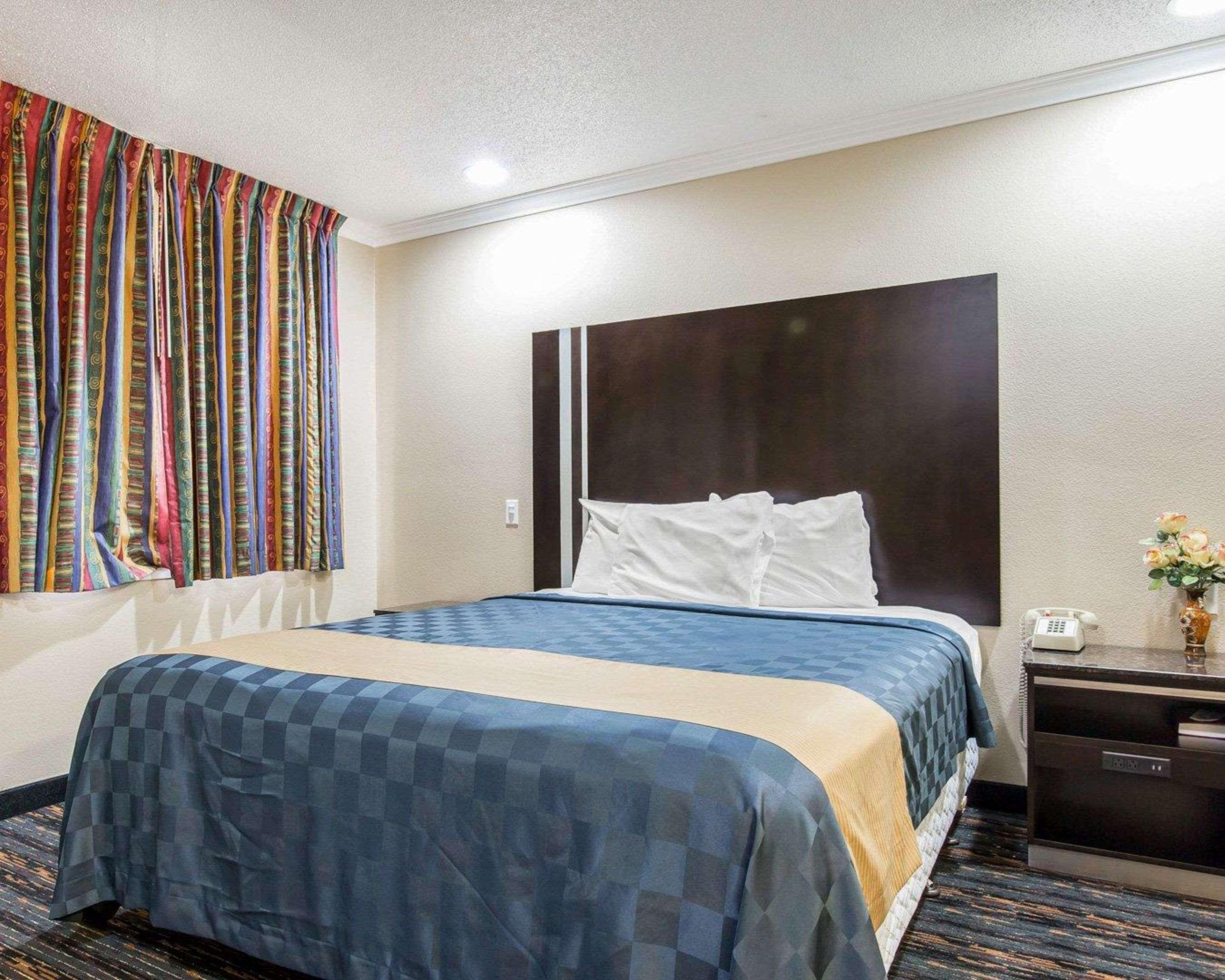 1 King Bed - Non-Smoking, Micfridge