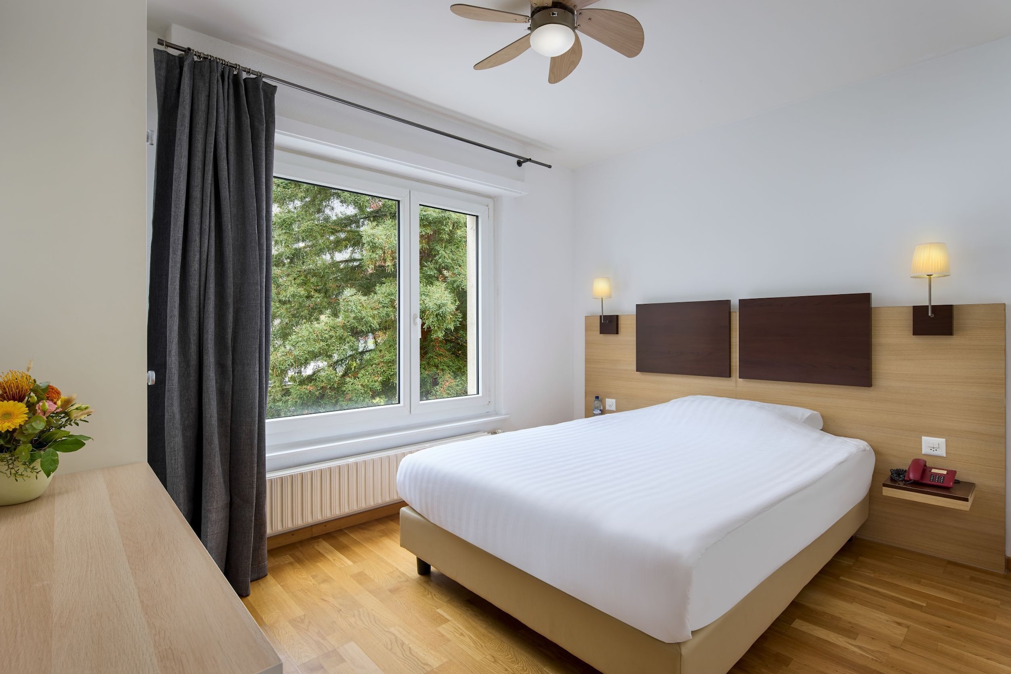 Superior, Single, Double Bed