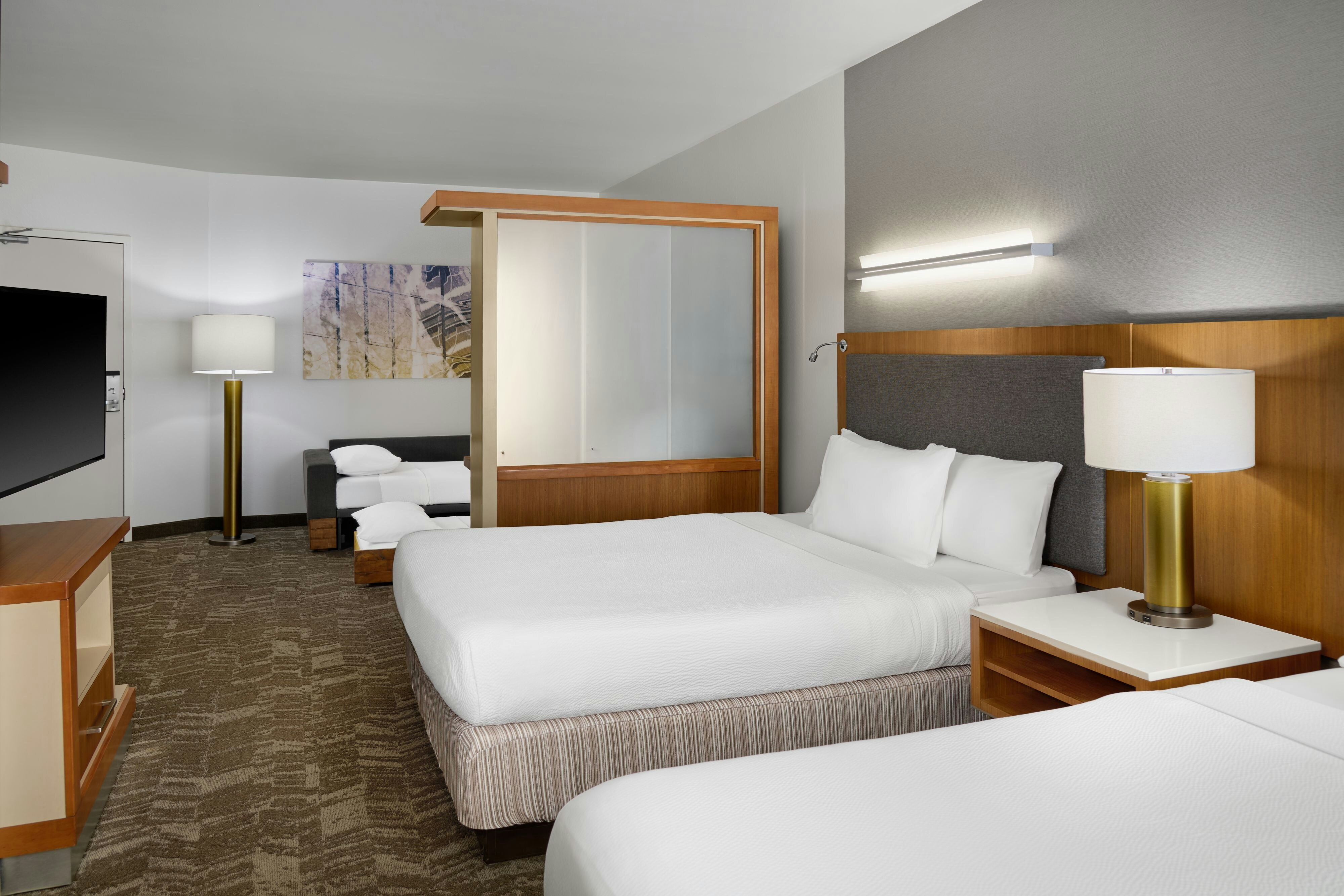 SpringHill Suites by Marriott Detroit Metro Airport Romulus 9/47