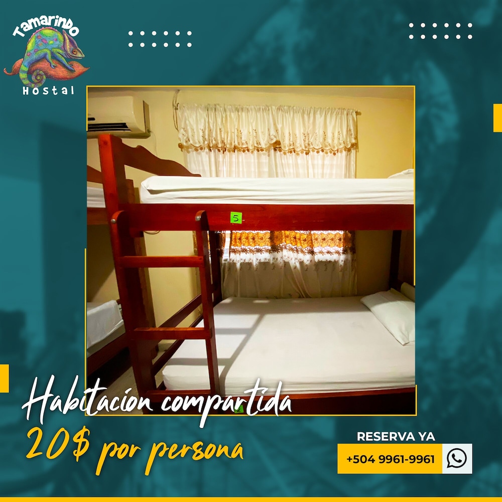 Tamarindo hostel 6/50