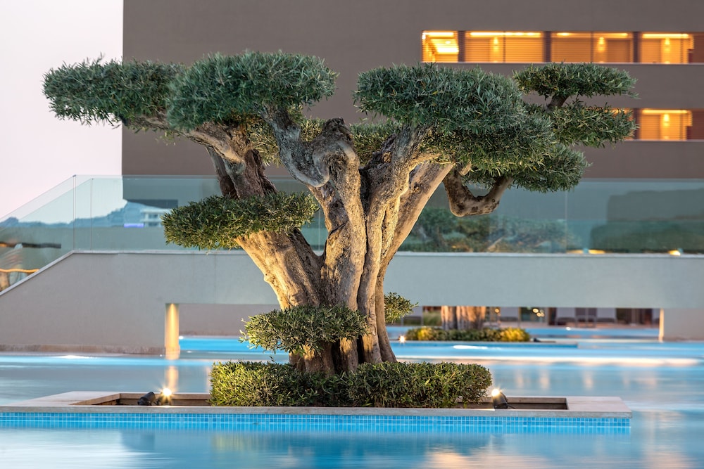 Amada Colossos Resort 62/75