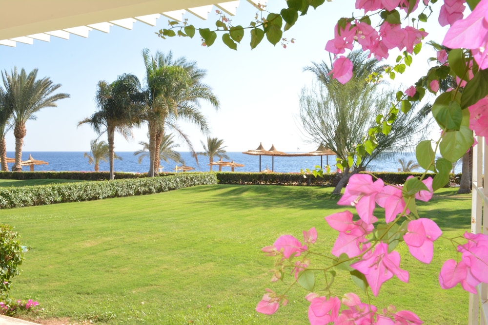 Monte Carlo Sharm Resort Spa 47/50