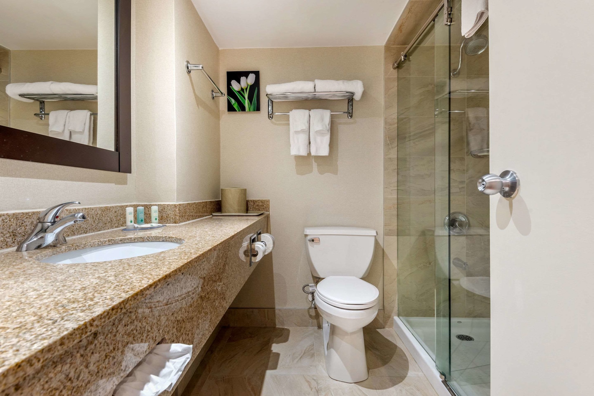 غرفة قياسية بسرير كينج مع أريكة، Quality Inn and Suites Brampton 10/10